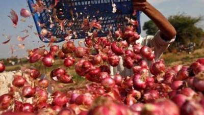 التجارة: الأحد القادم بدء تفعيل قرار حظر تصدير البصل لمدة 3 أشهر