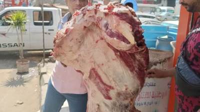محافظ الجيزة تضبط 9.5 طن لحوم غير صالحة للاستهلاك الادمي