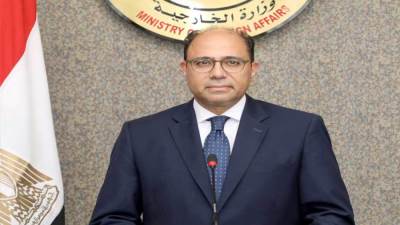 متحدث وزارة الخارجية: البعثات المصرية بالخارج بمثابة لجان انتخابية