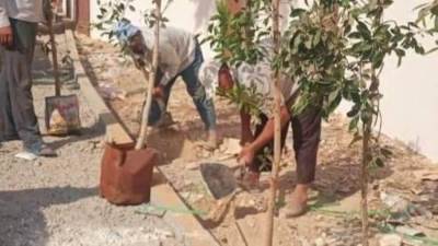 البيئة تبدأ بأعمال تشجير الكيلو الأول بشق الثعبان بمحافظة القاهرة 