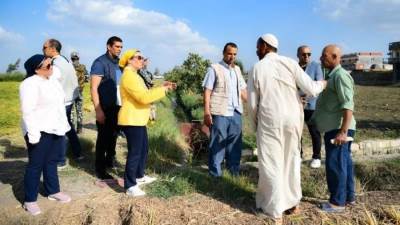 وزيرة البيئة تتوجه بالشكر للحماية المدنية لسرعة استجابتها فى إطفاء حريق قش الأرز