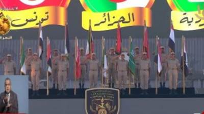 الرئيس السيسى يقدم التحية لأعلام الدول العربية المشاركة فى حرب أكتوبر