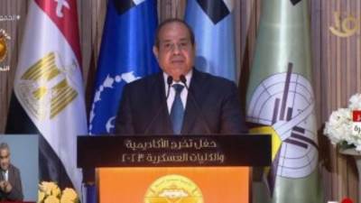 الرئيس السيسى: نعمل مع الأشقاء فى الدول العربية لحل الأزمة الفلسطينية