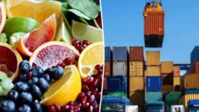 الإحصاء: 33.3 % ارتفاعاً فى قيمة الصادرات المصرية لتركيا خلال 2022