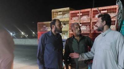 حملات مكثفة من الزراعة والتموين وحماية المنافسة على منافذ البيض والدواجن