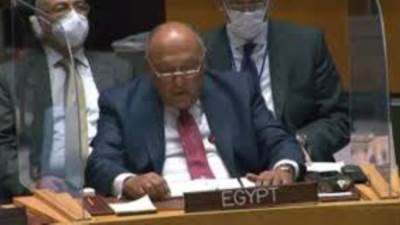 سامح شكرى أمام مجلس الأمن: ندعو لوقف فورى لإطلاق النار فى غزة دون قيد أو شرط