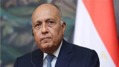 "شكرى" يبحث مع نظيره المجرى بنيويورك جهود إنهاء العنف والتصعيد فى غزة