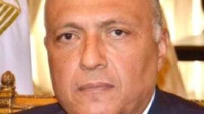 شكري يتلقى اتصالات هاتفية من وزيري خارجية سنغافورة ورومانيا