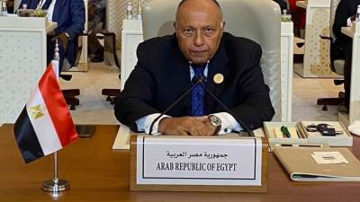 شكري يدعو لوقف إطلاق النار ويؤكد على الرفض القاطع لدعاوى التهجير في غزة