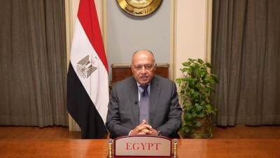 وزير الخارجية يشارك افتراضيا فى الاجتماع الوزارى لقمة صوت الجنوب العالمى