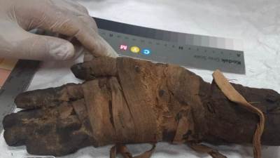 الخارجية تسلم السياحة والآثار عدداً من القطع الأثرية المستردة من نيوزيلاندا