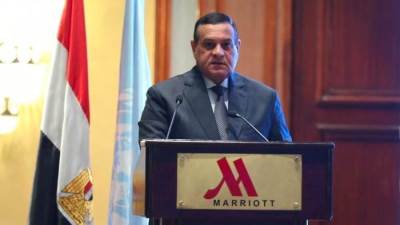 وزير التنمية يشارك في ورشة العمل الثانية بين الحكومة المصرية والأمم المتحدة