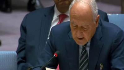 أبو الغيط: على مجلس الأمن تحمل مسؤوليته تجاه مستقبل السلام في المنطقة