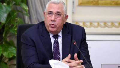 الزراعة: بدء إجراءات استصدار قرار تحديد مساحات الأرز لموسم 2024