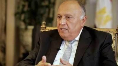 وزير الخارجية: التحديات الراهنة تتطلب تناولا حكيما للحفاظ على الأمن القومى