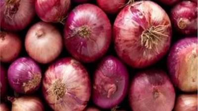 وزارة الزراعة تواجه محتكرى البصل وتضبط 150 ألف طن فى إمبابة ومنشأة القناطر
