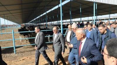 وزير الزراعة ومحافظ الشرقية يطلقان مبادرة احلم لتمويل رؤوس الأبقار الحلاب لصغار المربين