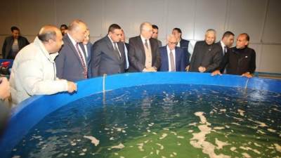وزيرا الزراعة والتنمية المحلية ومحافظ بورسعيد يتفقدون مفارخ الأسماك ببورسعيد