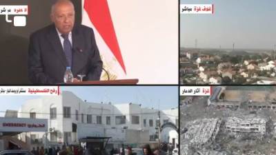 بث مباشر.. مؤتمر صحفي لوزير الخارجية المصري ونظيرته الألمانية