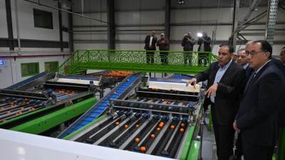 رئيس الوزراء يتفقد محطة شركة "جامكو" لتعبئة البرتقال واليوسفي بالنوبارية