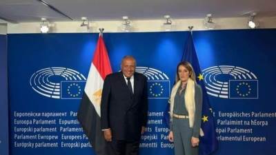 وزير الخارجية يؤكد أهمية تعزيز الحوار البناء والموضوعي بين مصر والبرلمان الأوروبي