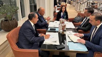 وزير الخارجية يلتقي برئيس لجنة العلاقات الخارجية بالبرلمان الأوروبي