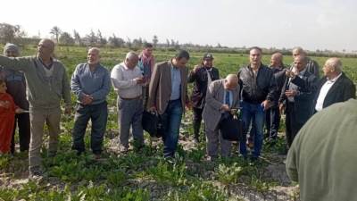 الزراعة : 185 خبيرا وباحثا ومرشدا زراعيا يشاركون في الفرق الإرشادية الريفية 