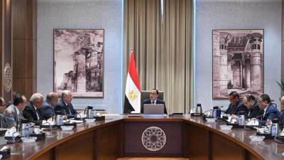 مدبولي يوجه بضرورة وضع خطة لإنتاج 100 طن من الحرير سنوياً