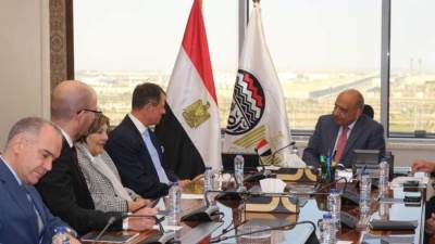 وزير قطاع الأعمال يبحث مع رئيس شركة "ريتر" السويسرية موقف التوريد والتشغيل