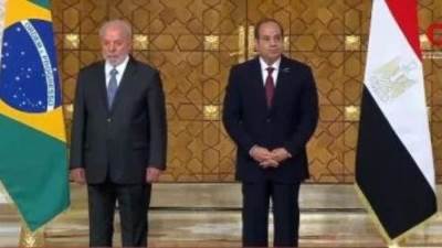 الرئيس السيسى: توافقنا مع رئيس البرازيل على أهمية وقف إطلاق النار فى غزة