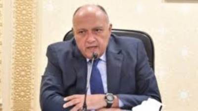 وزير الخارجية يلتقى بقادة مجموعة The Elders الداعمة للسلام بألمانيا