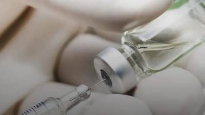 حقيقة وجود عجز في الأمصال واللقاحات البيطرية على مستوى الجمهورية