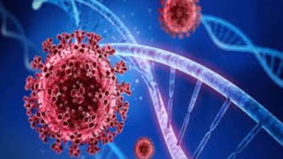 الحكومة تنفي تسرب فيروس تنفسي جديد إلى مصر عبر الوافدين من الخارج