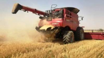 وزير التموين يزف بشرى للمزارعين: جار تحديد سعر مجزٍ للقمح المحلى