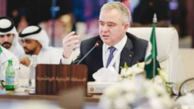 وزير الرياضة الأردني يؤكد حرص الدول العربية على تقديم الدعم للأشقاء في فلسطين