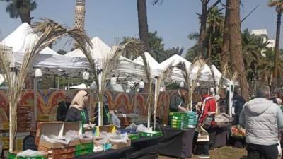 انطلاق النسخة الرابعة من مهرجان القاهرة الدولي للتمور بحديقة الحرية