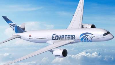 إلغاء رحلتى مصر للطيران الى فرانكفورت بسبب الإضراب هناك