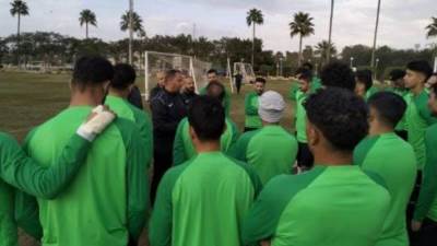 المقاولون يكشف حقيقة بلع لاعب الذئاب لسانه فى بيان رسمى