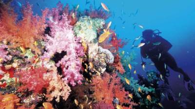 موقع forbes: مصر من أفضل ثلاثة وجهات سياحية لزيارتها لقضاء الإجازات