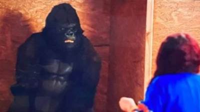 مسلسل الكبير أوى 8 الحلقة 20.. مربوحة تطلب قردا أونلاين وتأتى غوريلا بالخطأ