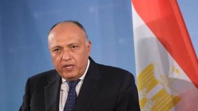 شكرى يؤكد لوزير الخارجية نيوزيلندا رفض مصر القاطع لأى عملية عسكرية فى رفح