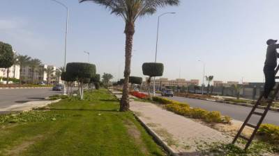 استكمال أعمال صيانة المسطحات الخضراء والأشجار بمدن الشيخ زايد والشروق ودمياط الجديدة