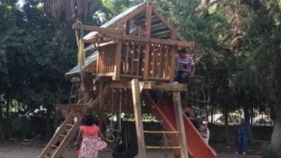 وزارة الزراعة: حديقة الأسماك بالزمالك مفتوحة للمواطنين فى الأعياد