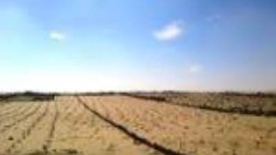 تنفيذ 302 مشروع بشمال سيناء خلال 5 سنوات بحجم استثمارات بلغ 363 مليار جنيه