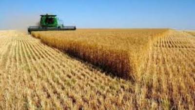 وادى كوم أمبو تستهدف زيادة إيراداتها إلى 147 مليون جنيه خلال 25/24