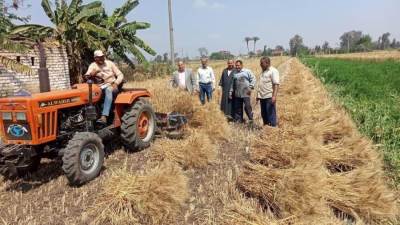 "الزراعة" تعلن بدء موسم حصاد وتوريد القمح.. و"القصير" يوجه بالتيسير على المزارعين