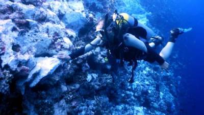 وزيرة البيئة: استمرار التحفظ على السفينة الدولية الجانحة بعد خروجها سالمة من موقع شحوطها