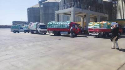 وزير التموين: اليوم فتح جميع نقاط استلام وتوريد القمح المحلي المنتج هذا العام