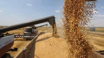 "السلع التموينية" تتعاقد على شراء 120 ألف طن قمح أوكراني