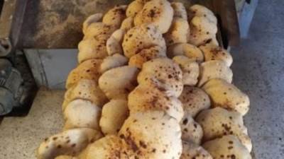 أسعار الخبز السياحى والفينو المقترحة من شعبة المخابز